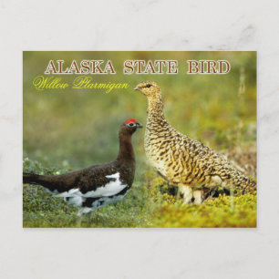 Carte Postale Oiseau de l'état de l'Alaska - Ptarmigan à saule