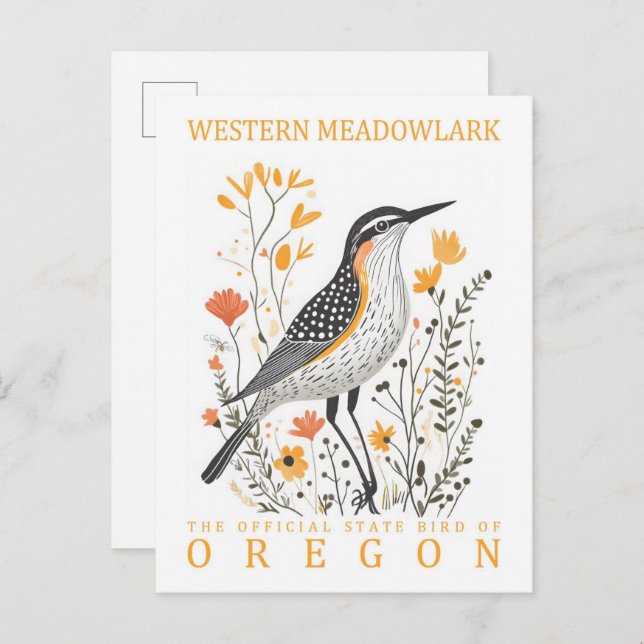 Carte Postale Oiseau de l'ouest de Meadowlark en Oregon Voyage (Devant / Derrière)
