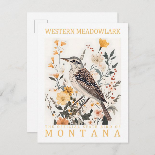 Carte Postale Oiseau de Meadowlark occidental du Montana USA Tra (Devant / Derrière)