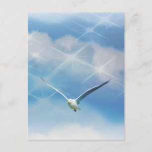 Carte Postale Oiseau de mouette en vol Photo