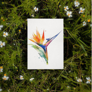 Carte Postale Oiseau de paradis fleur exotique clair aquarelle