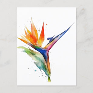 Carte Postale Oiseau de paradis fleur exotique clair aquarelle
