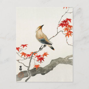 Carte Postale Oiseau de peste japonais sur l'érable par Ohara Ko