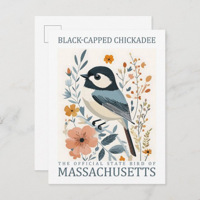 Carte Postale Oiseau de poulet à capuchon noir du Massachusetts  (Devant / Derrière)