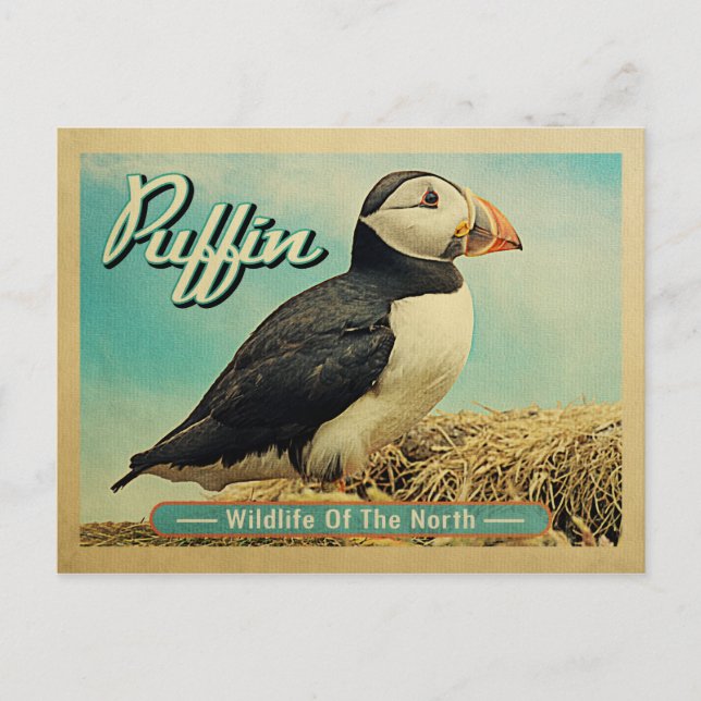 Carte postale Oiseau de Puffin - Faune du Nord (Devant)