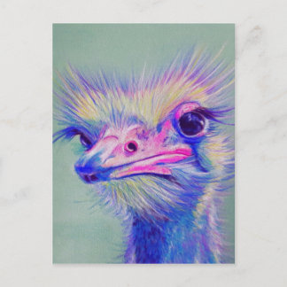 Carte Postale Oiseau d'Emu