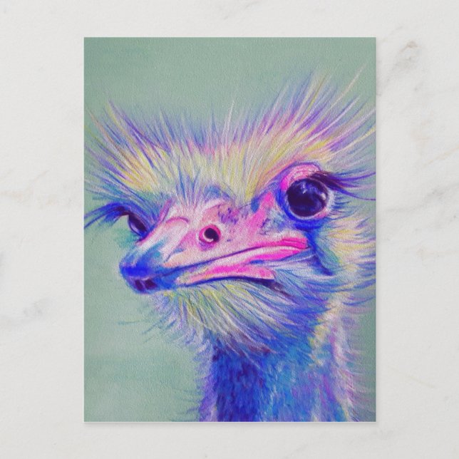 Carte Postale Oiseau d'Emu (Devant)