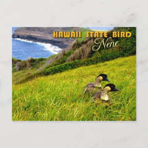 Carte Postale Oiseau d'État de Hawaii - Nene ou Oie hawaïenne
