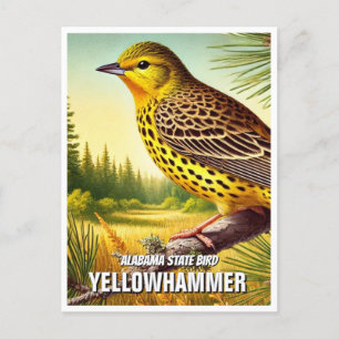 Carte Postale Oiseau d'État de l'Alabama Yellowhammer