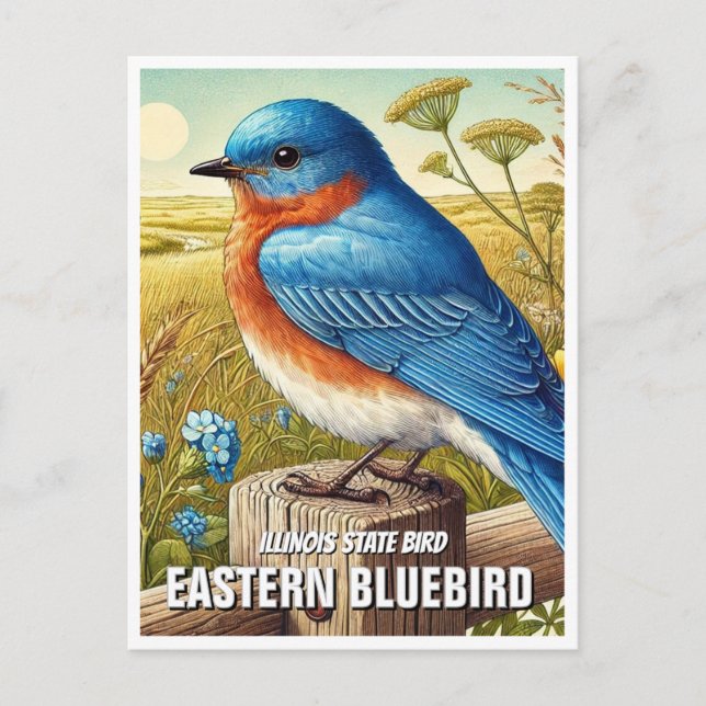 Carte Postale Oiseau d'État de l'Illinois Bluebird oriental (Devant)