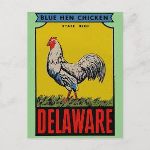 Carte postale Oiseau d'État du Delaware