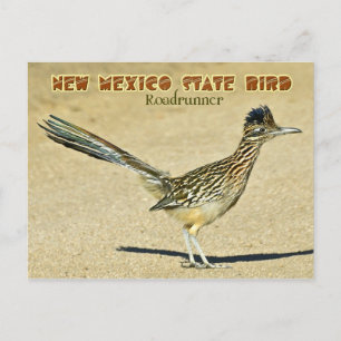 Carte Postale Oiseau d'État du Nouveau-Mexique : Roadrunner
