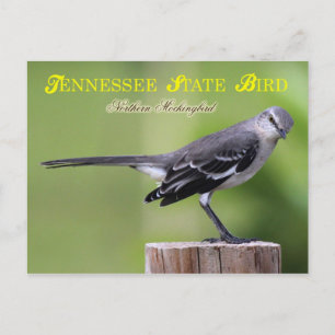 Carte Postale Oiseau d'état du Tennessee - Colibri du Nord
