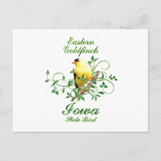 Carte Postale Oiseau d'État Goldfinch Iowa