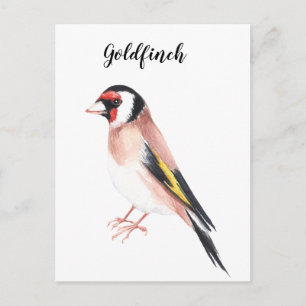 Carte Postale Oiseau doré peint à l'aquarelle. Belle carte.