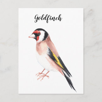 Carte Postale Oiseau doré peint à l'aquarelle. Belle carte.