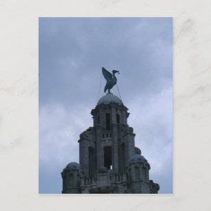 Carte Postale Oiseau du foie à Liverpool