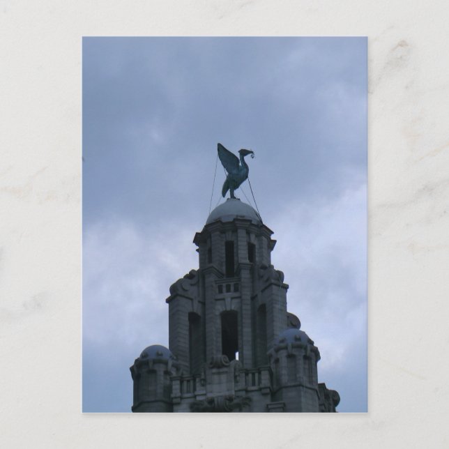Carte Postale Oiseau du foie à Liverpool (Devant)