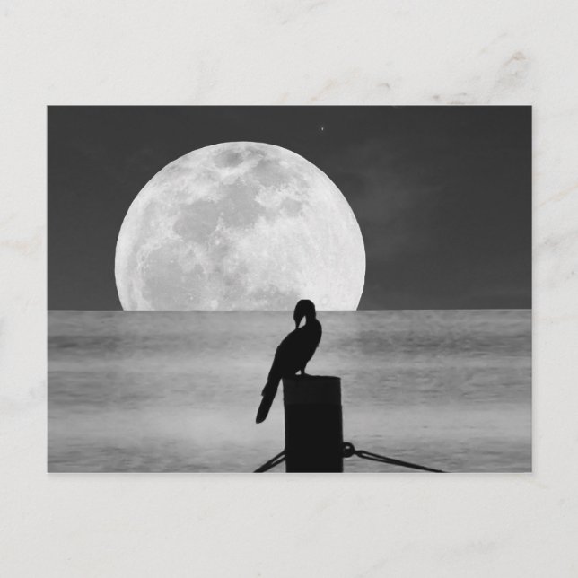 Carte postale Oiseau du lac et Pleine lune (Devant)