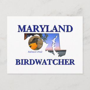 Carte Postale Oiseau du Maryland