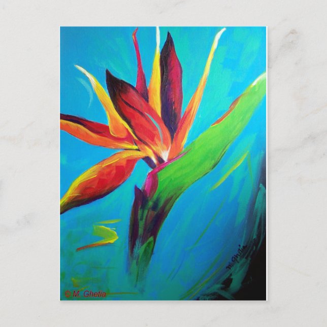 Carte Postale Oiseau du Paradis (Devant)