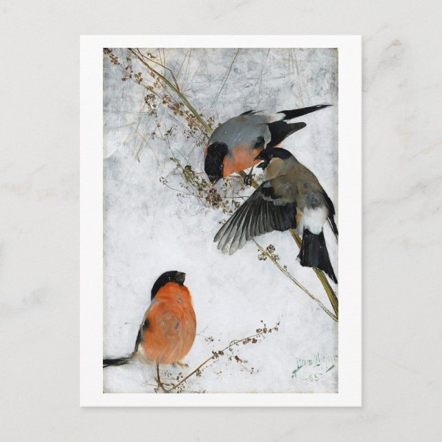 Carte Postale Oiseau en Neige, Bruno Liljefors (Devant)