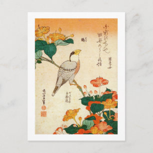 Carte Postale Oiseau et belle-de-nuit, Hokusai