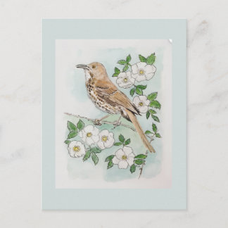 Carte Postale oiseau et fleur de l'État de Géorgie