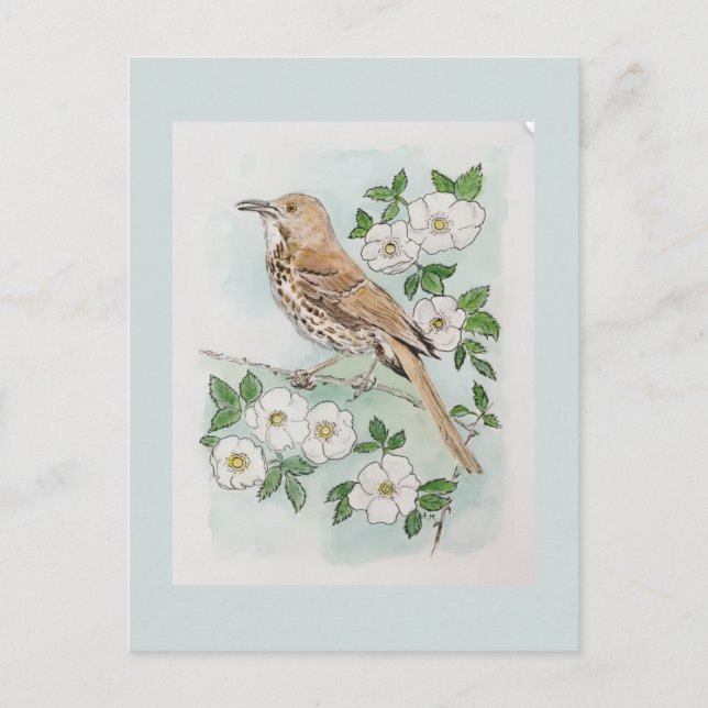 Carte Postale oiseau et fleur de l'État de Géorgie  (Devant)