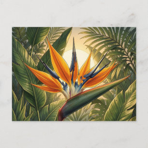 Carte Postale Oiseau exotique de Paradis Coucher de soleil Jungl
