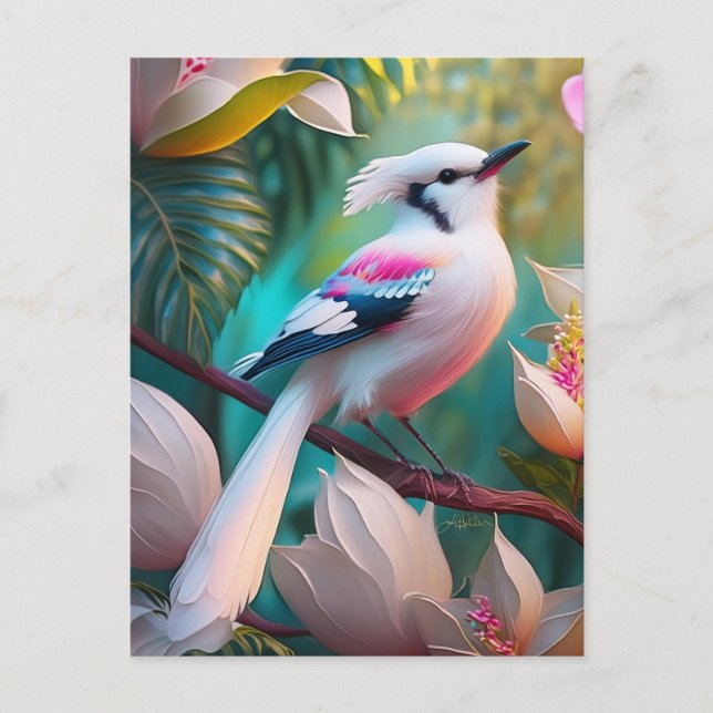 Carte Postale Oiseau Fantastique à Crête Blanche et Poitrine Ros (Devant)