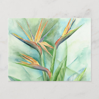 Carte Postale Oiseau Fleur Tropical De Peinture Paradisiaque - M