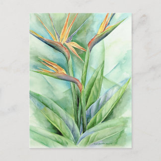 Carte Postale Oiseau Fleur Tropical De Peinture Paradisiaque - M