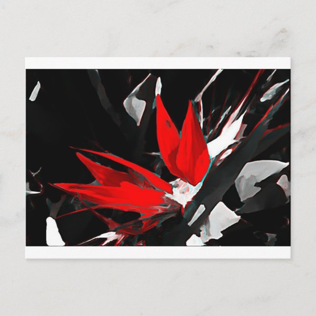 Carte Postale Oiseau funky du paradis (Devant)