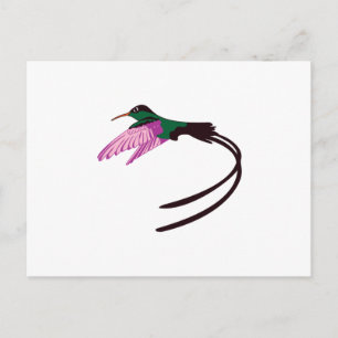 Carte Postale Oiseau jamaïcain
