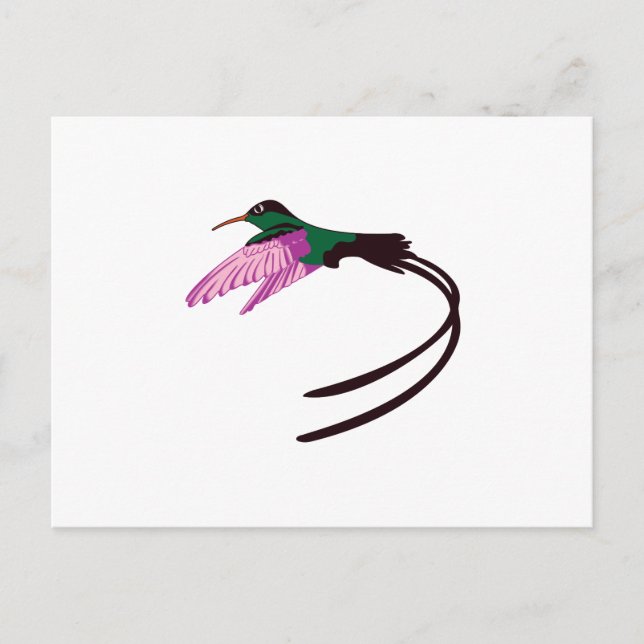 Carte Postale Oiseau jamaïcain (Devant)