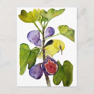 Carte Postale Oiseau jaune vibrant avec figs violettes aquarelle