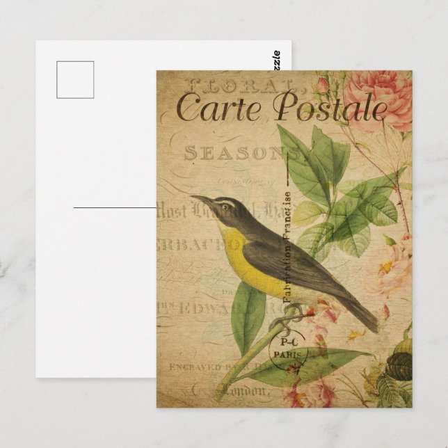 Carte Postale Oiseau jaune vintage (Devant / Derrière)