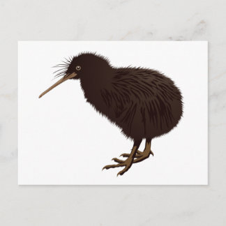 Carte Postale Oiseau kiwi