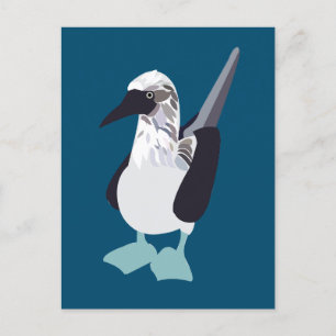 Carte Postale Oiseau Marin à Pieds Bleus