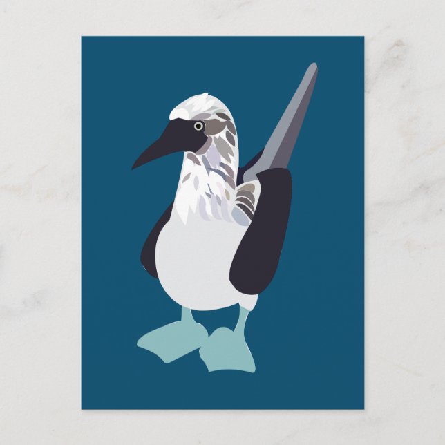 Carte Postale Oiseau Marin à Pieds Bleus (Devant)