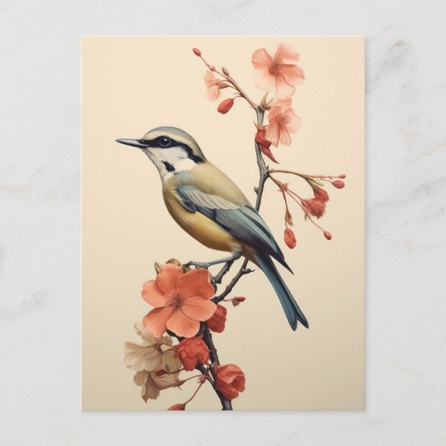 Carte Postale Oiseau matinal japonais (Devant)
