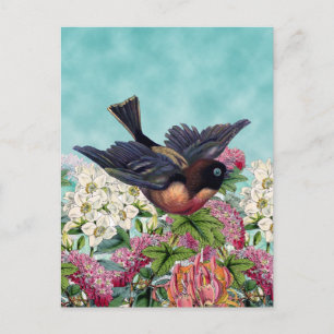 Carte Postale oiseau mignon aux yeux bleus survolant les fleurs
