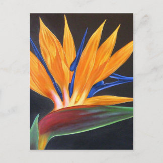 Carte Postale Oiseau moderne du Paradis Peinture florale tropica