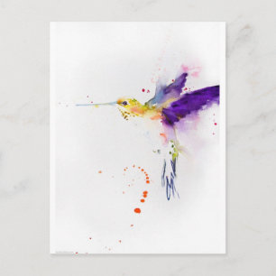 Carte postale - Oiseau-mouche
