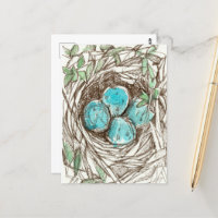Oiseau Nid Bleu OEufs Robin Ressort Encre Dessin