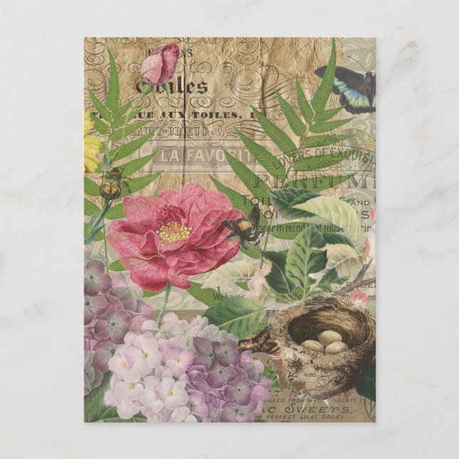 Carte Postale Oiseau Nid Floral Jardin Fleur Papillon Art (Devant)