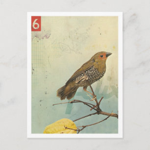 Carte Postale Oiseau no 2