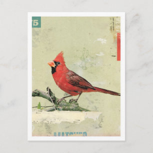 Carte Postale Oiseau no 6