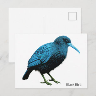 Carte Postale Oiseau noir